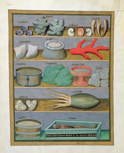 Illustratie uit het Boek der Eenvoudige Geneesmiddelen door Mattheaus Platearius 166v door Robinet Testard